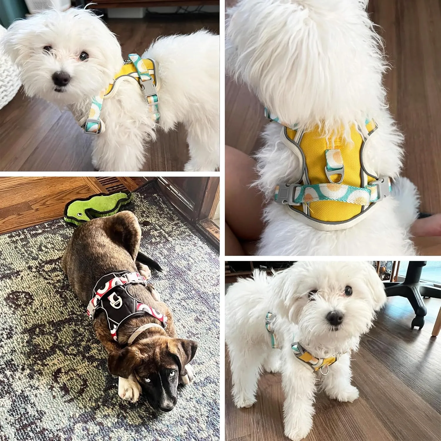 Dog Harness No-Pull with Handle, Reflective Padded Adjustable Vest for Small Medium Large Dogs, Hiking Training Walking, Yellow, M