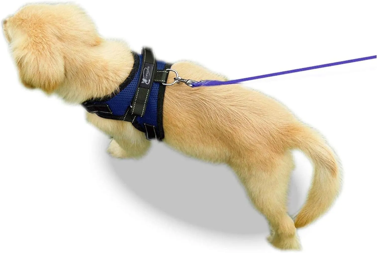 No Pull Reflective Adjustable Dog Harness With Handle- Comfortable Soft All Weather Mesh, Easy On Puppy Harness For Small Medium and Large Dogs (Blue) Small