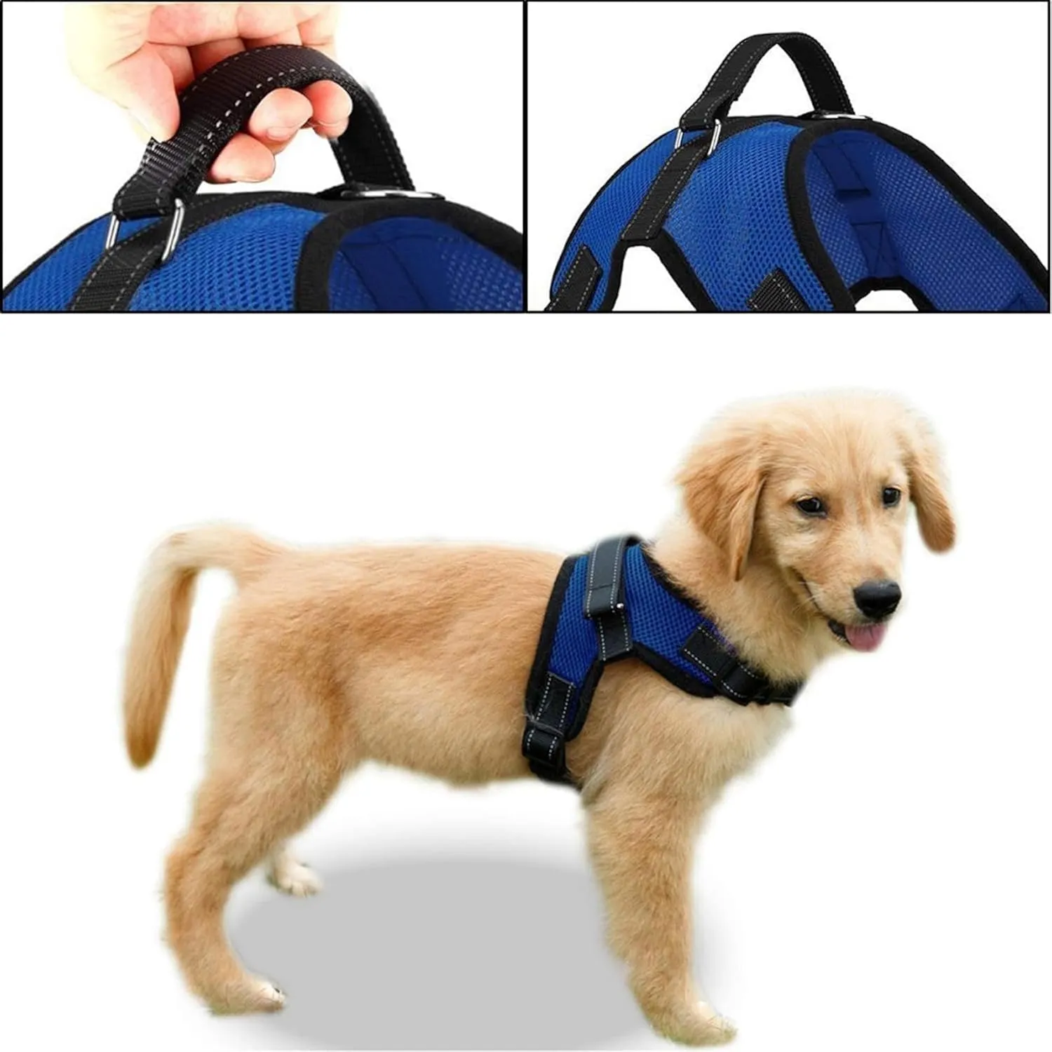 No Pull Reflective Adjustable Dog Harness With Handle- Comfortable Soft All Weather Mesh, Easy On Puppy Harness For Small Medium and Large Dogs (Blue) Small
