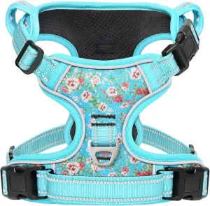 Timos Dog Harness, No-Pull Pet Harness with 2 Leash Clips, Adjustable Soft Padded Dog Vest, Reflective Outdoor Pet Oxford Vest with Easy Control Handle Sky Blue