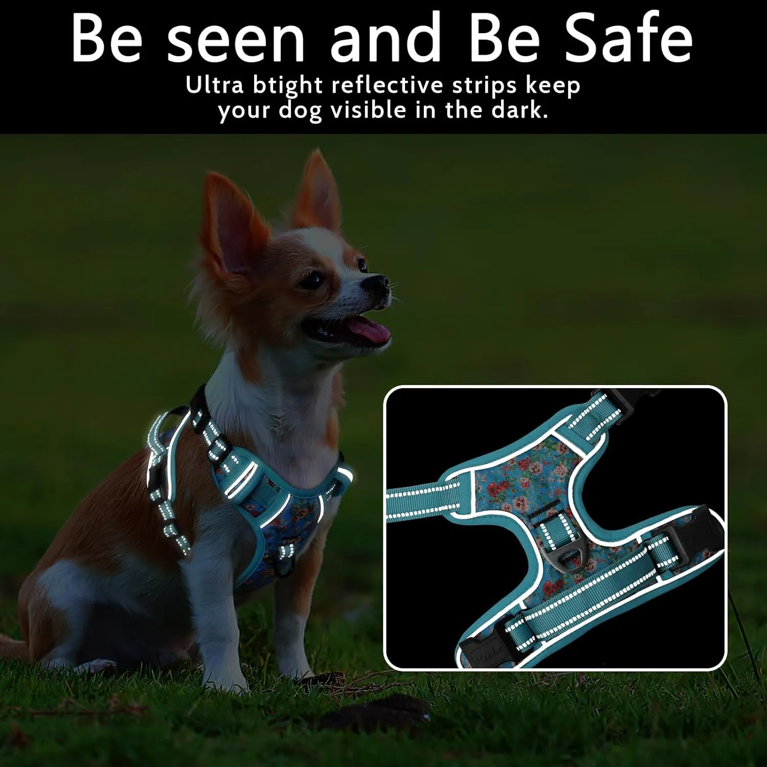 Timos Dog Harness, No-Pull Pet Harness with 2 Leash Clips, Adjustable Soft Padded Dog Vest, Reflective Outdoor Pet Oxford Vest with Easy Control Handle Sky Blue